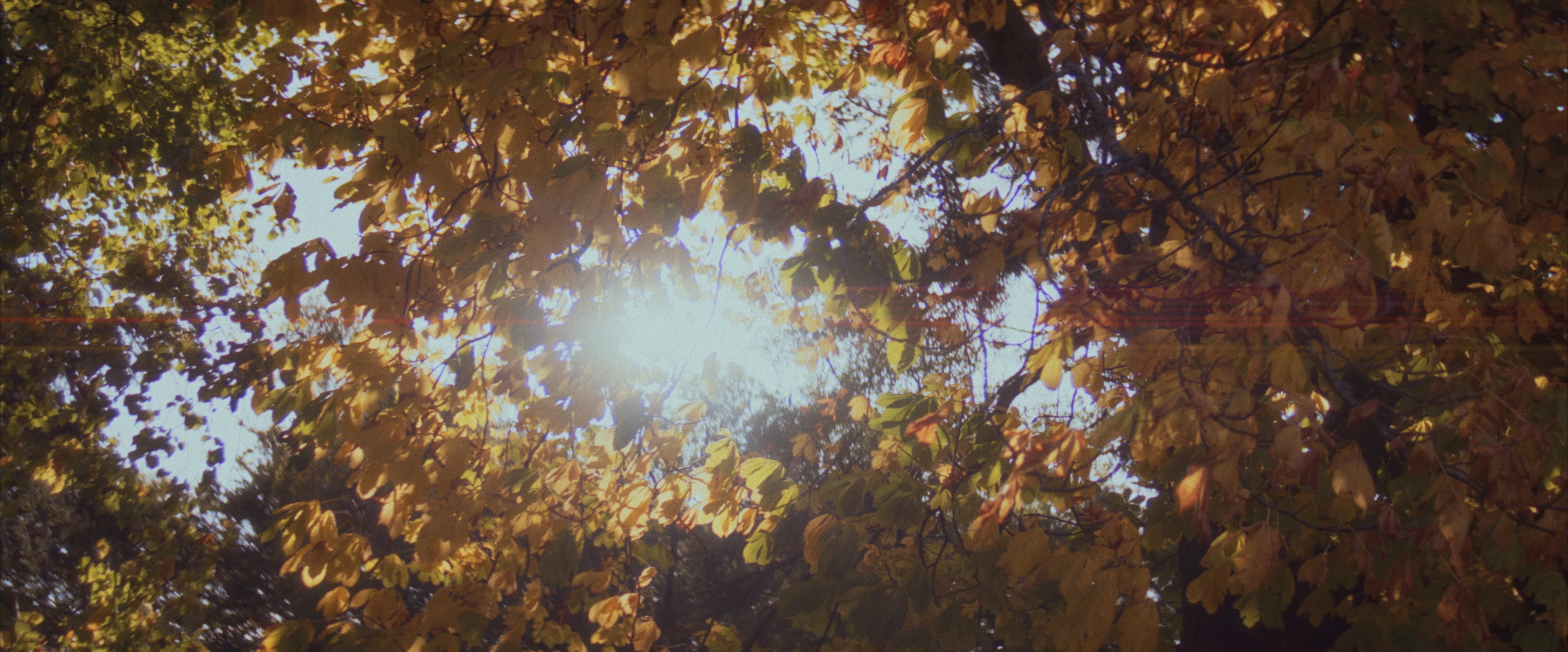 Load video: A Breath of Fresh Air Tasting with Richard Woodward at Hazelwood House.